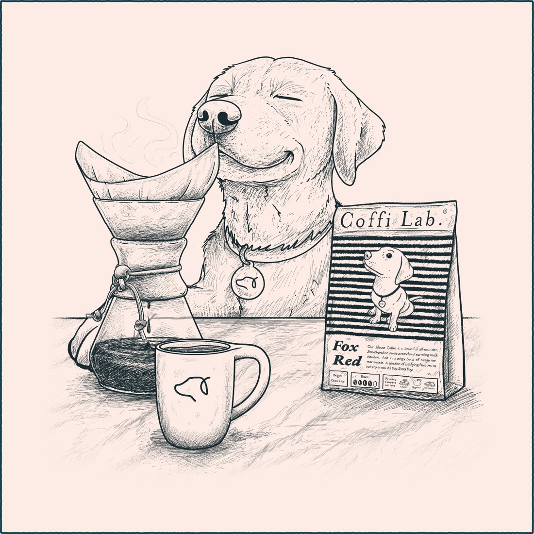 Chemex Brew Guide