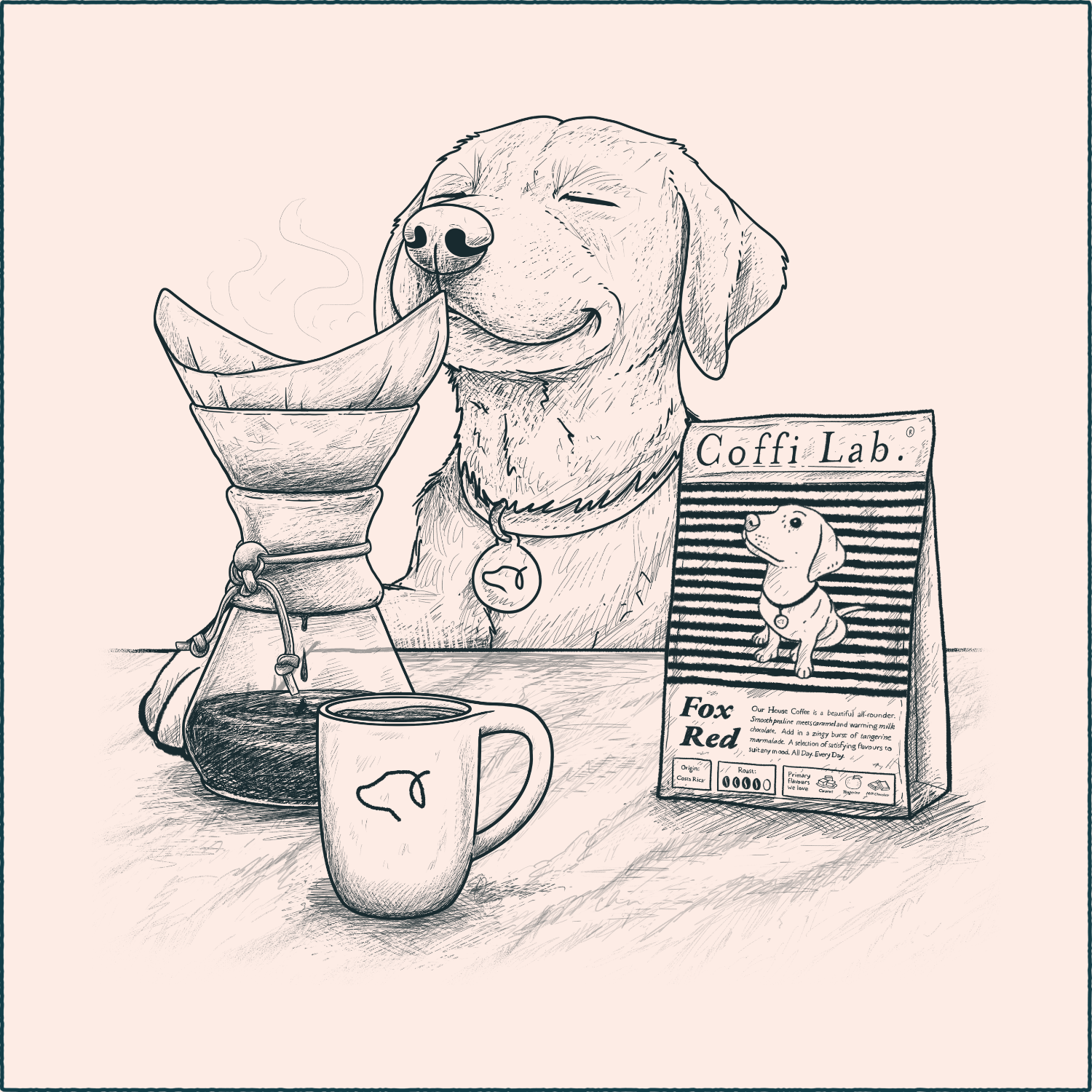 Chemex Brew Guide