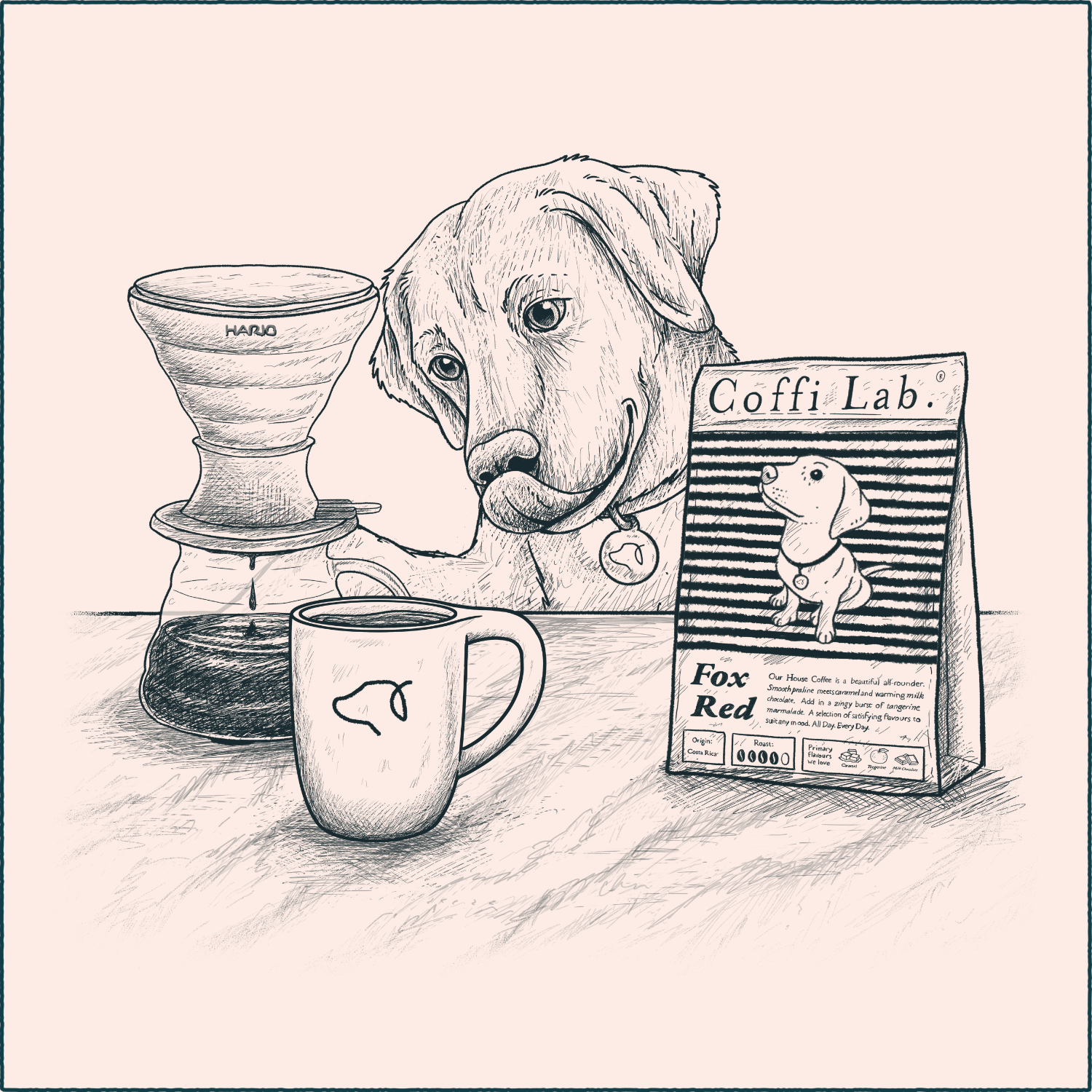 V60 Brew Guide