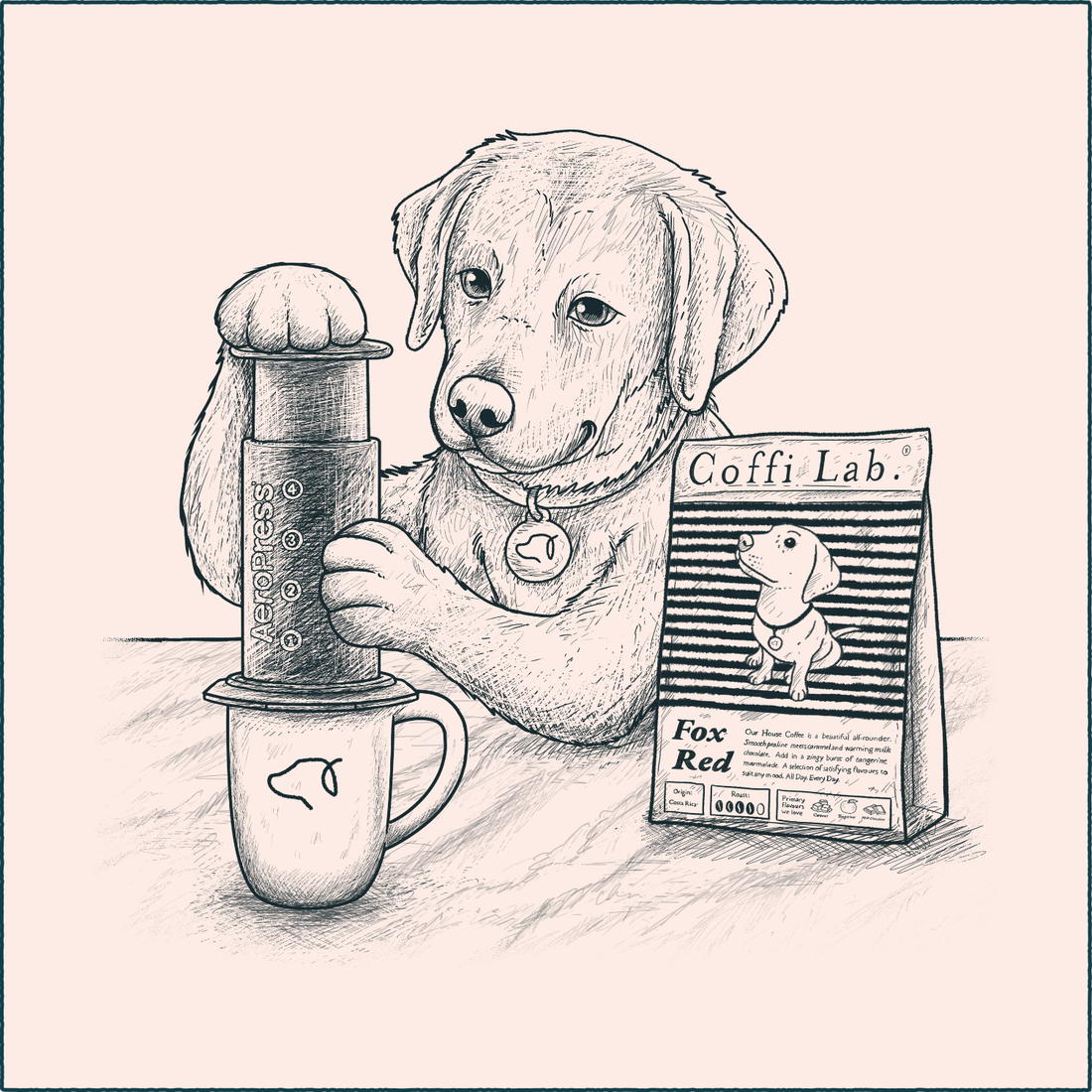 Aeropress Brew Guide