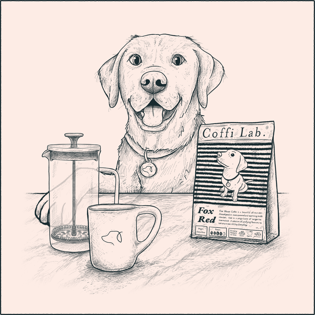 cafetiere coffee brew guide