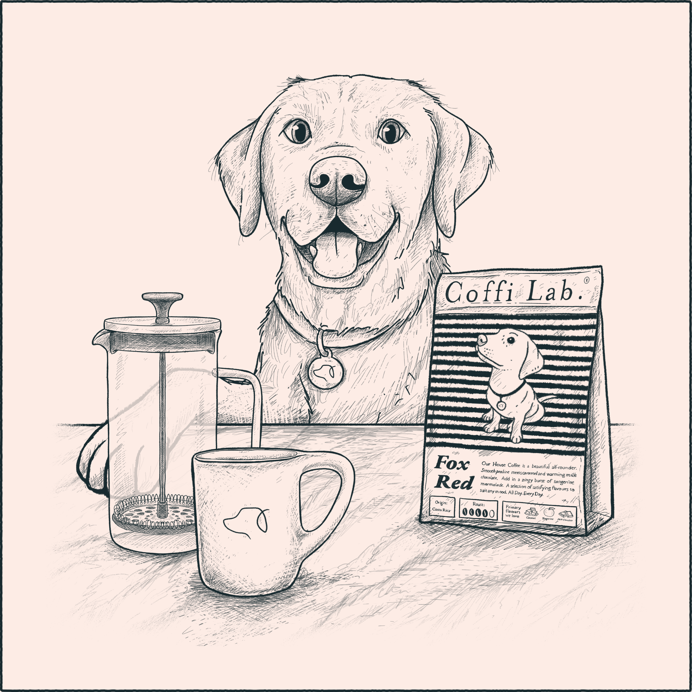 cafetiere coffee brew guide