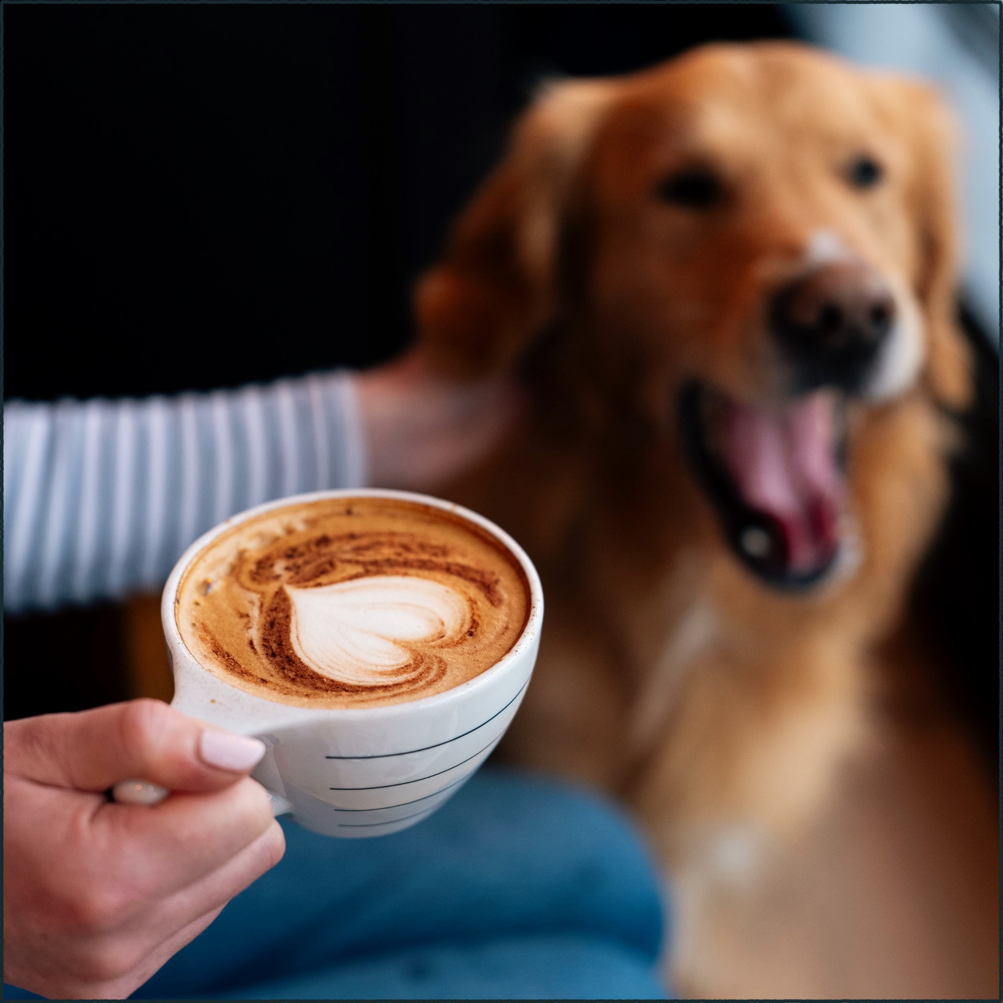 8 Healthy Joys of Decaf Coffee