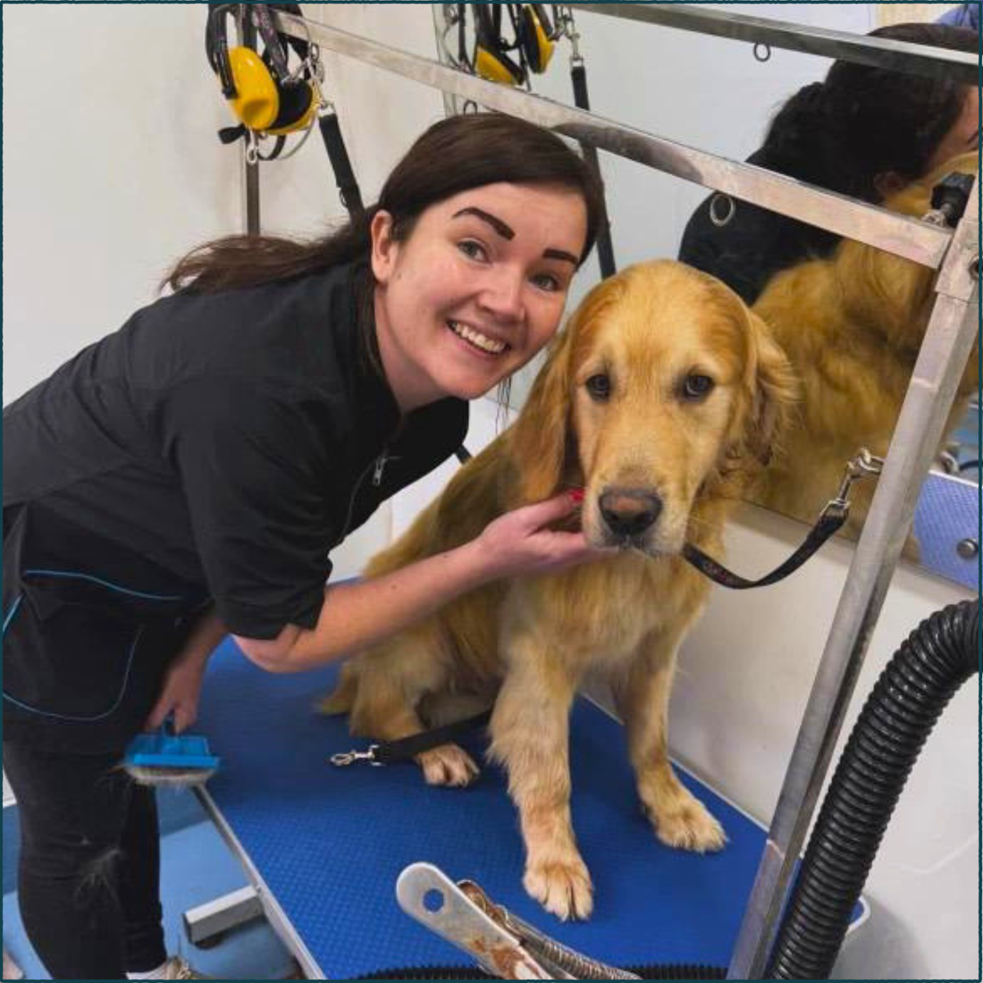 Summer Dog Grooming Tips by Jess