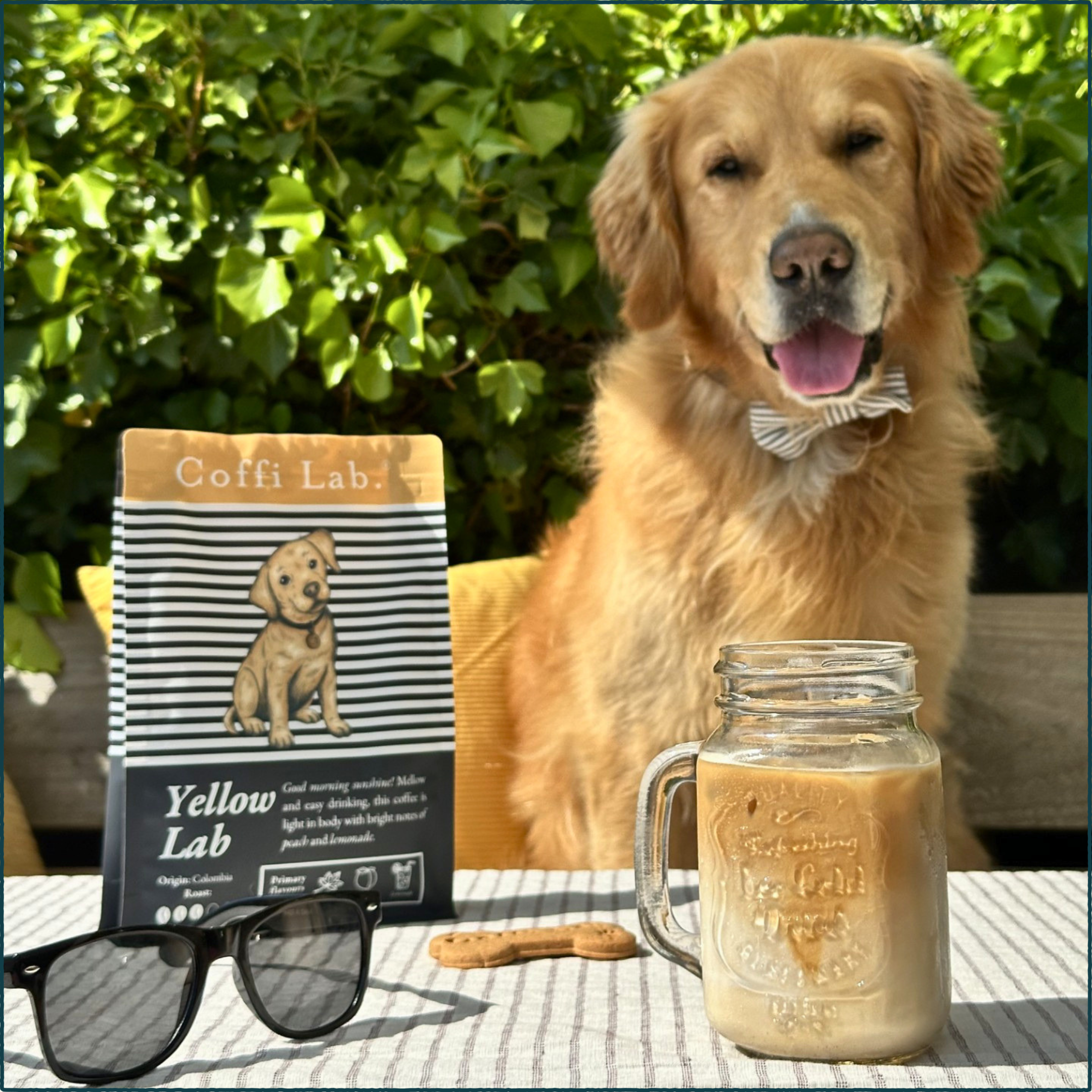 Iced Coffee Brew Guide
