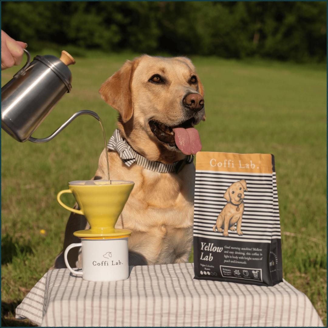 The Lovely Little Story of Yellow Lab