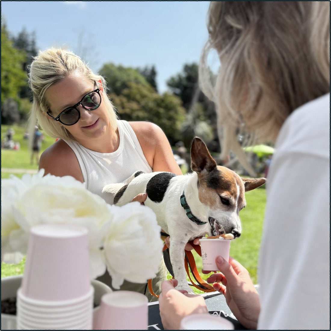 A Lably Chat With: Our Dog Walker Nia