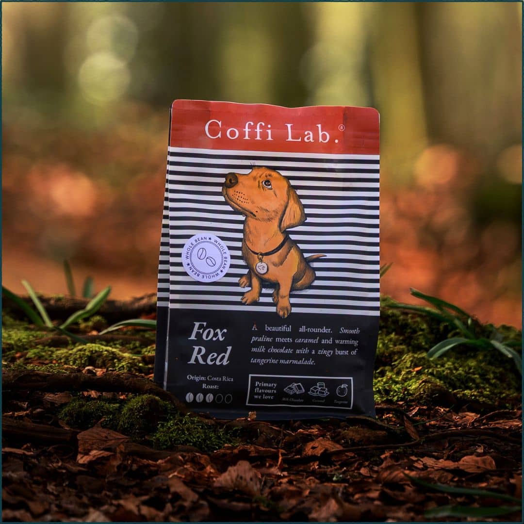 Fox Red Coffee Bag in autumn woodland