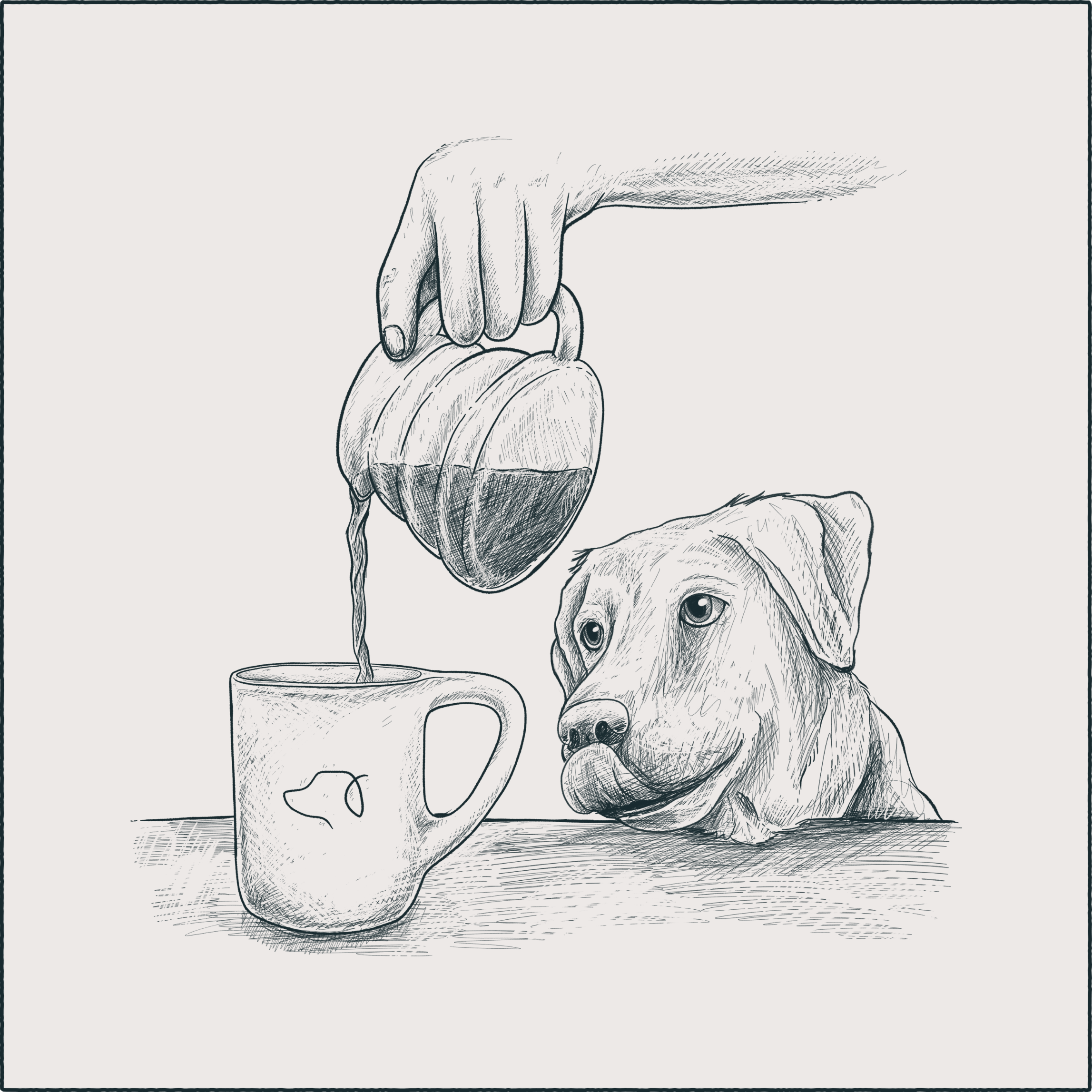 How to Choose Your Perfect Coffee Companion