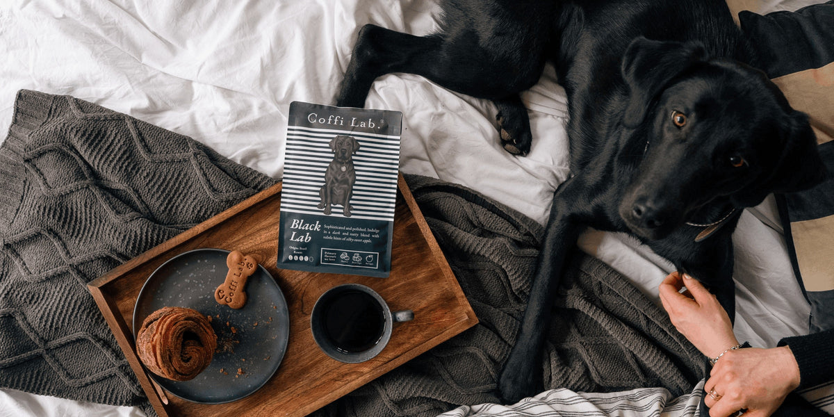 Coffee Subscriptions