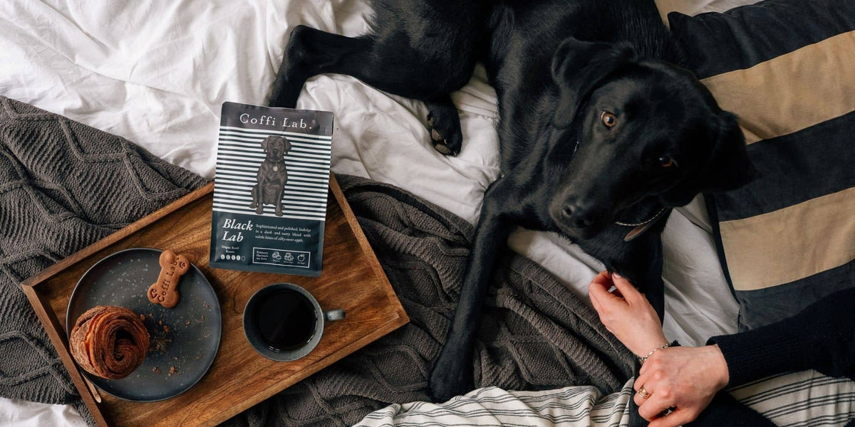 Your Coffee Companion
