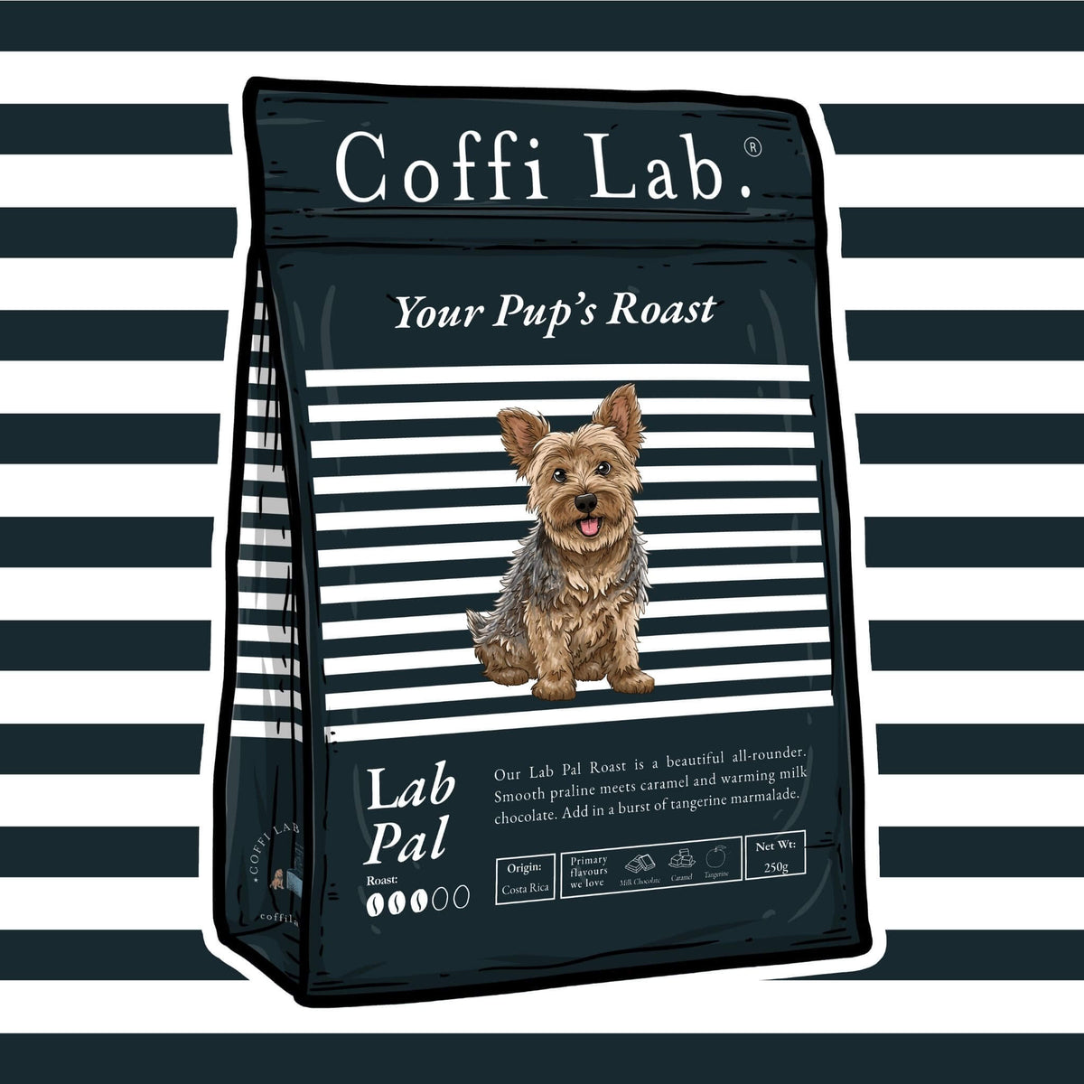 Lab Pal