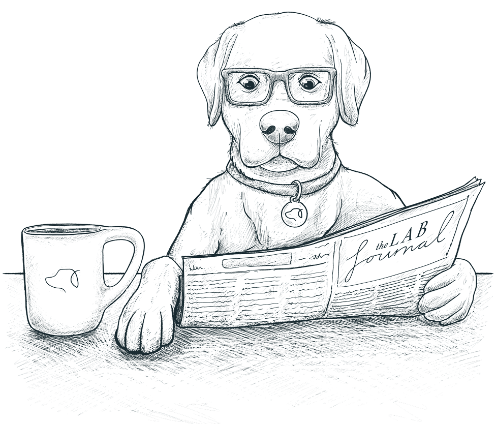 FAQs Coffi Lab faqs-coffi-lab