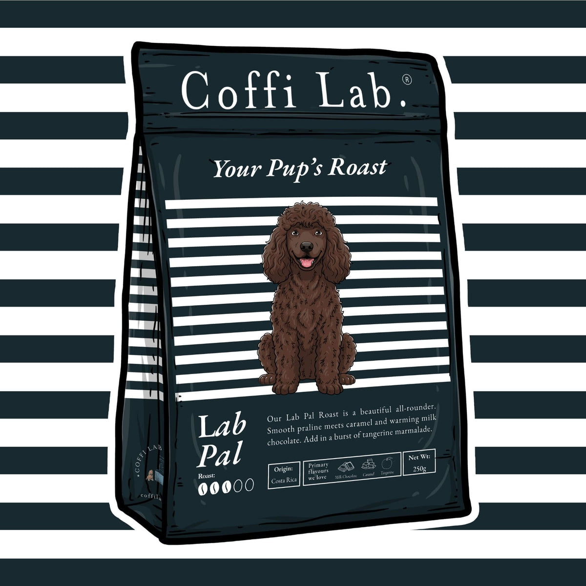 Lab Pal