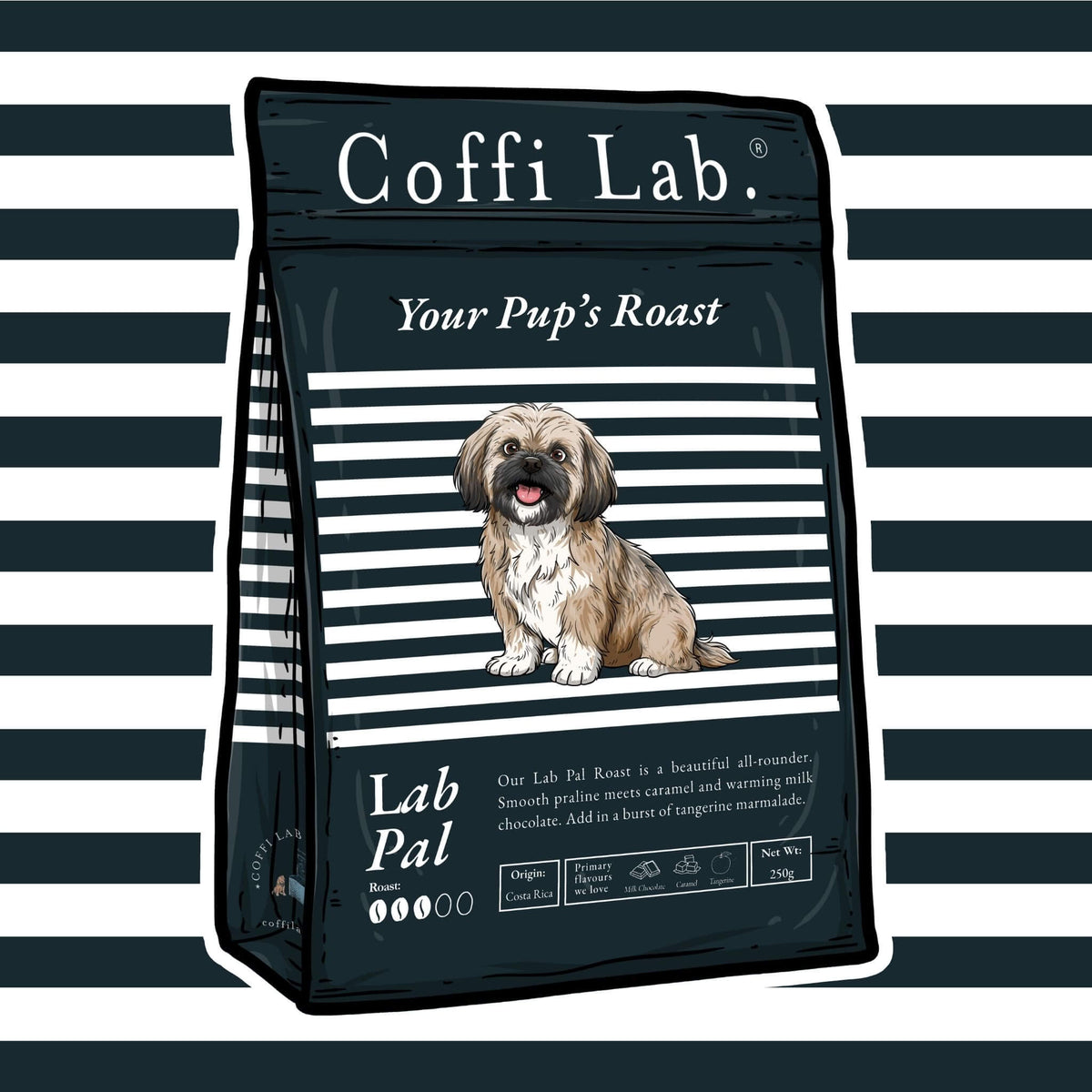 Lab Pal
