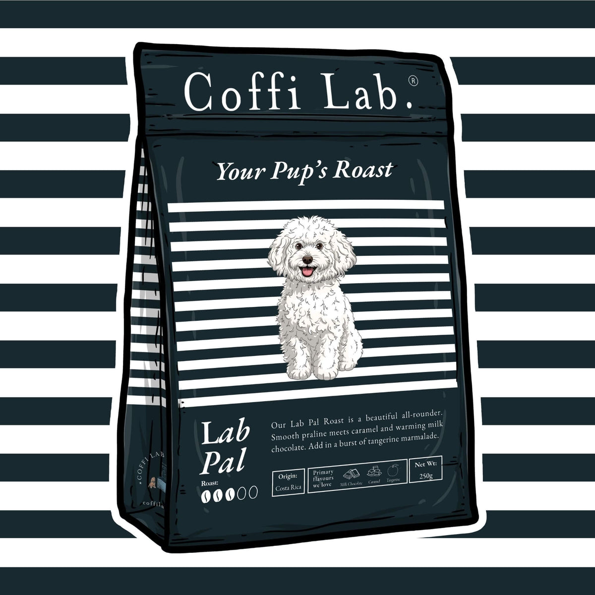 Lab Pal