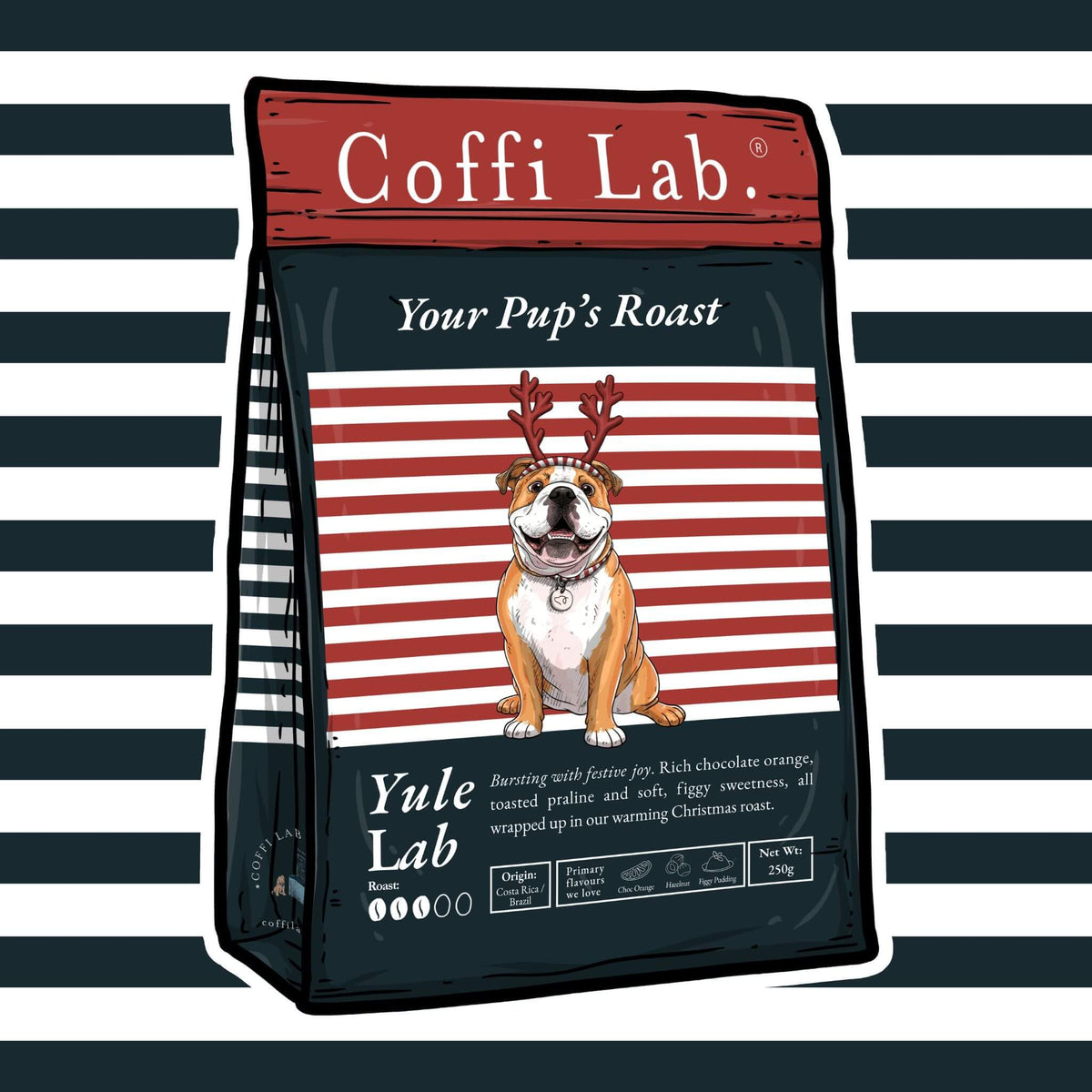 Yule Lab