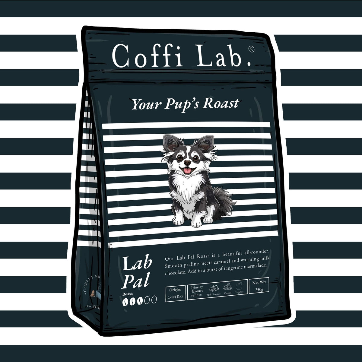Lab Pal