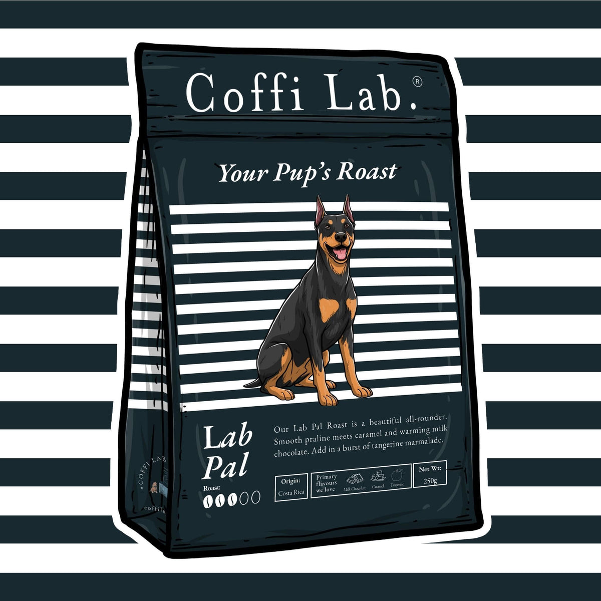 Lab Pal