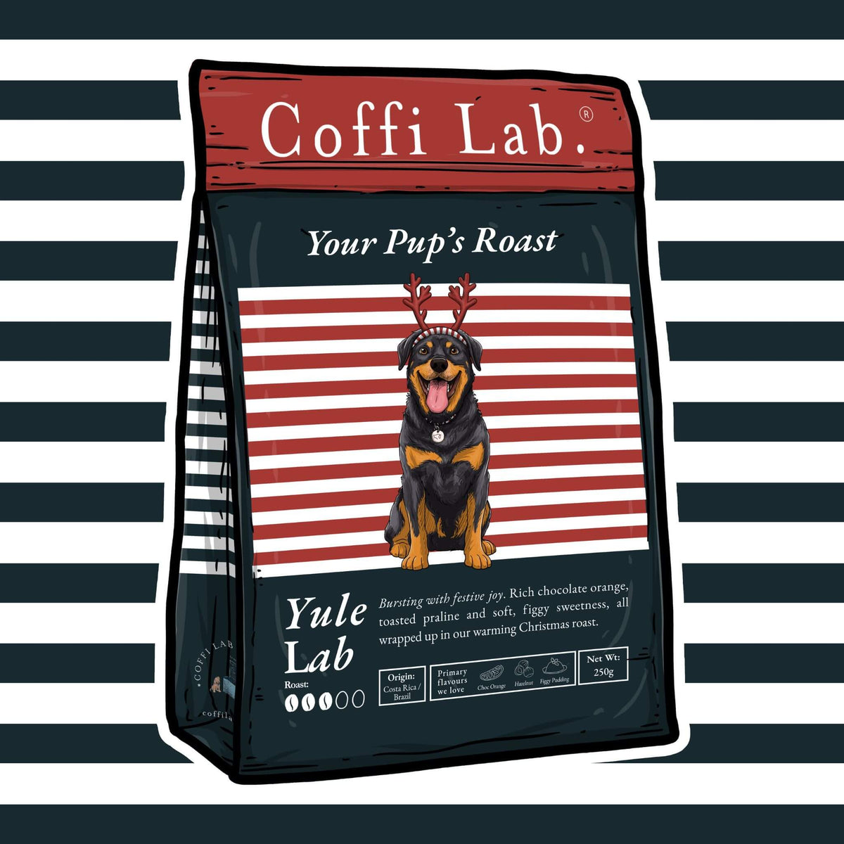 Yule Lab