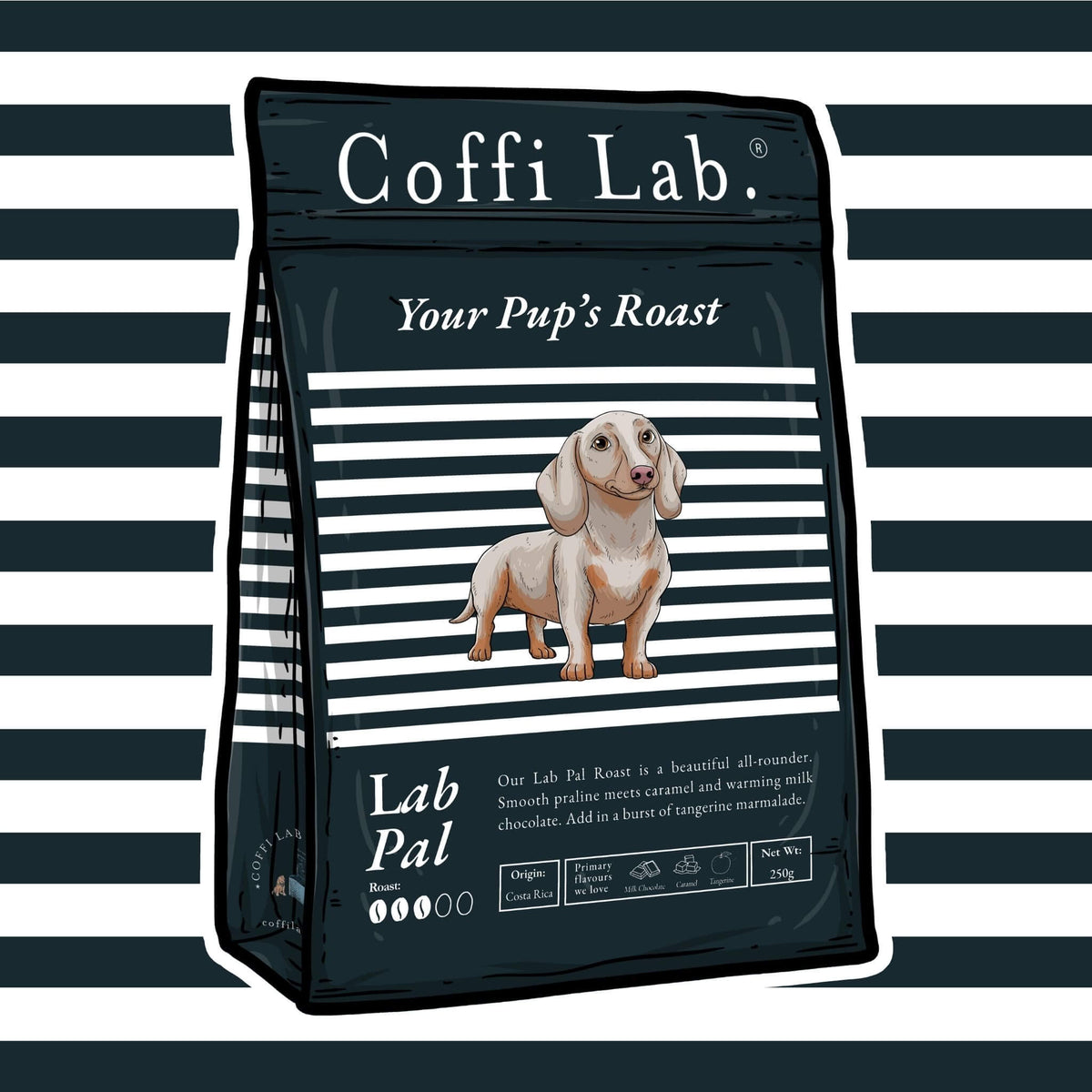 Lab Pal
