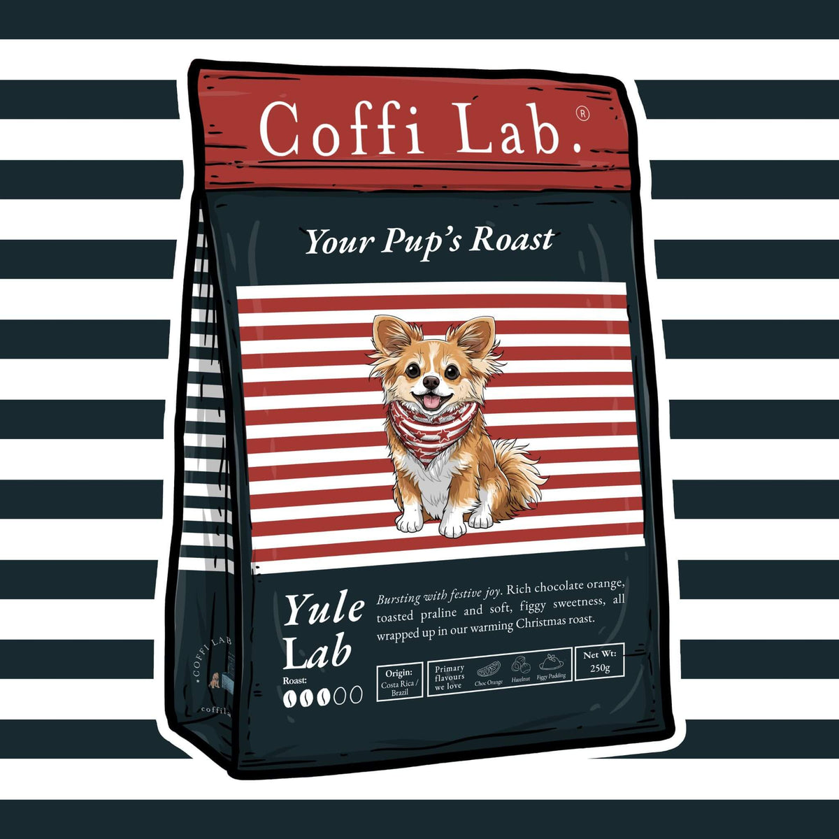 Yule Lab