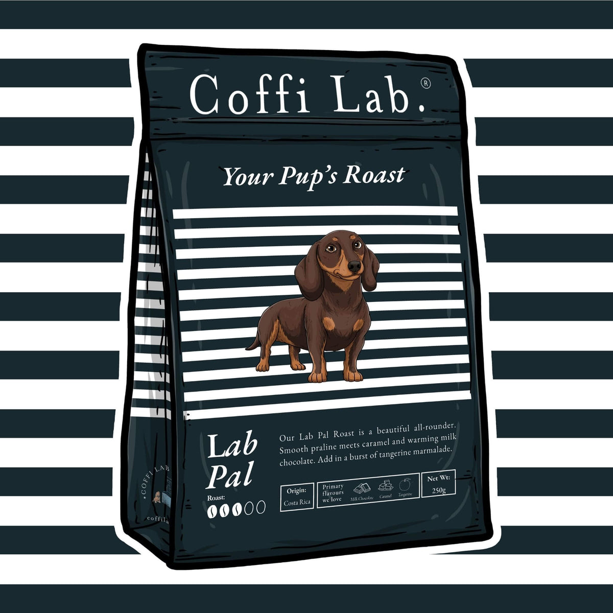 Lab Pal