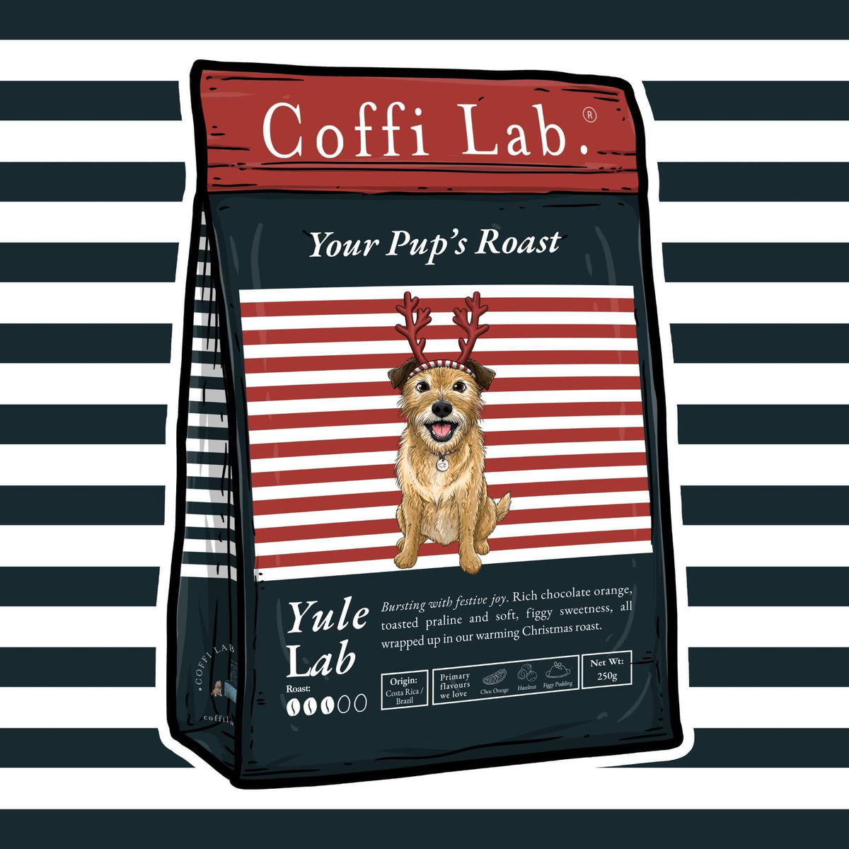 Yule Lab