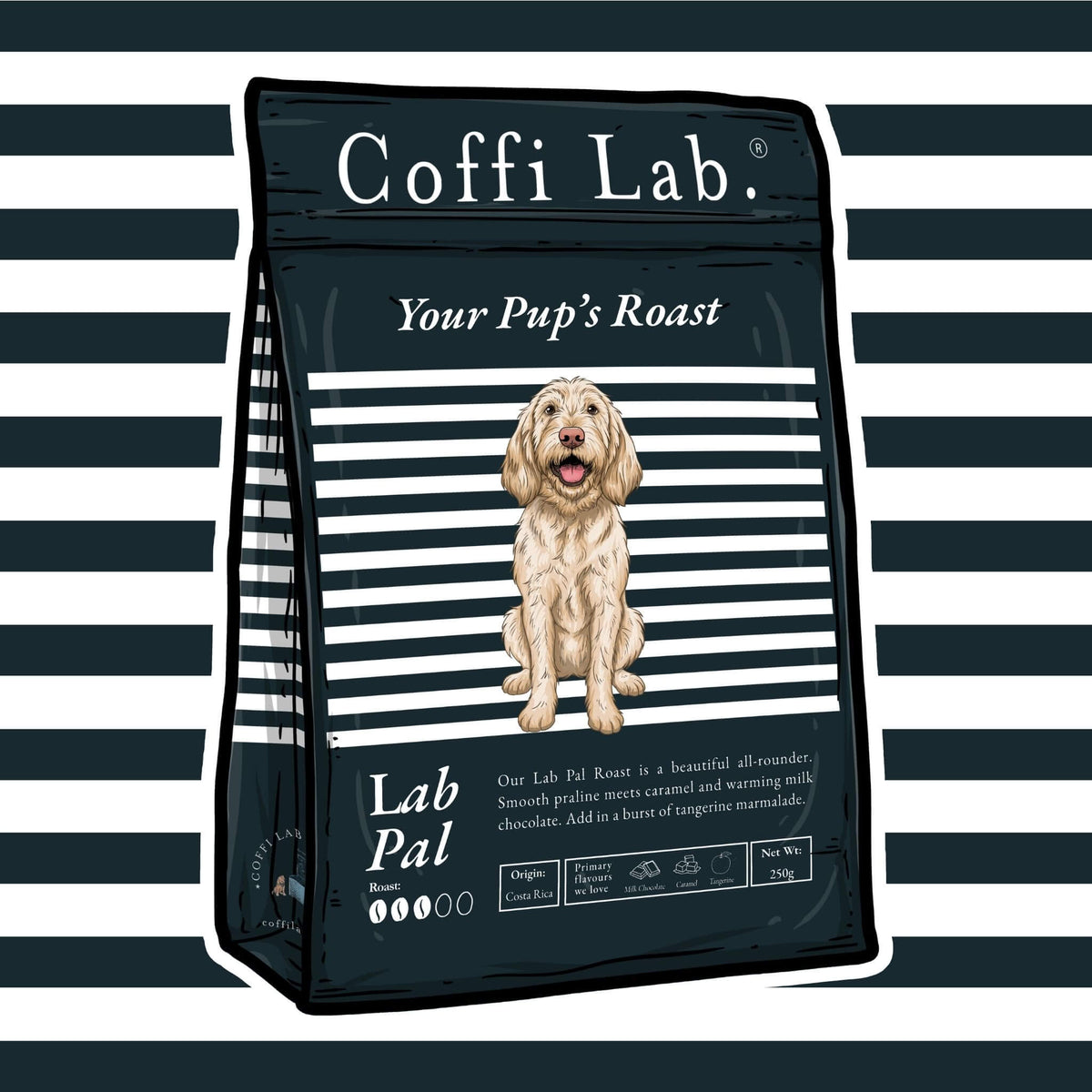 Lab Pal