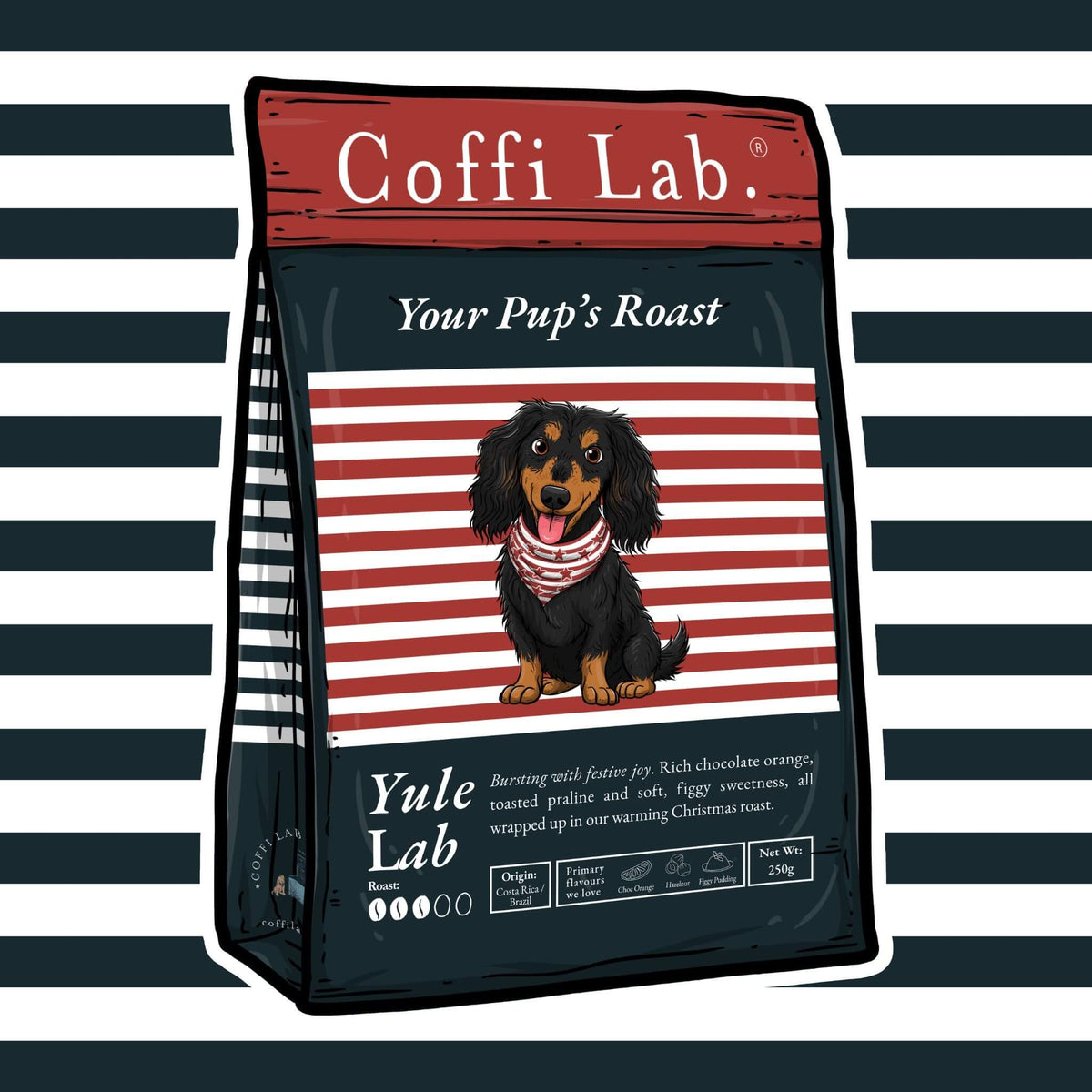 Yule Lab