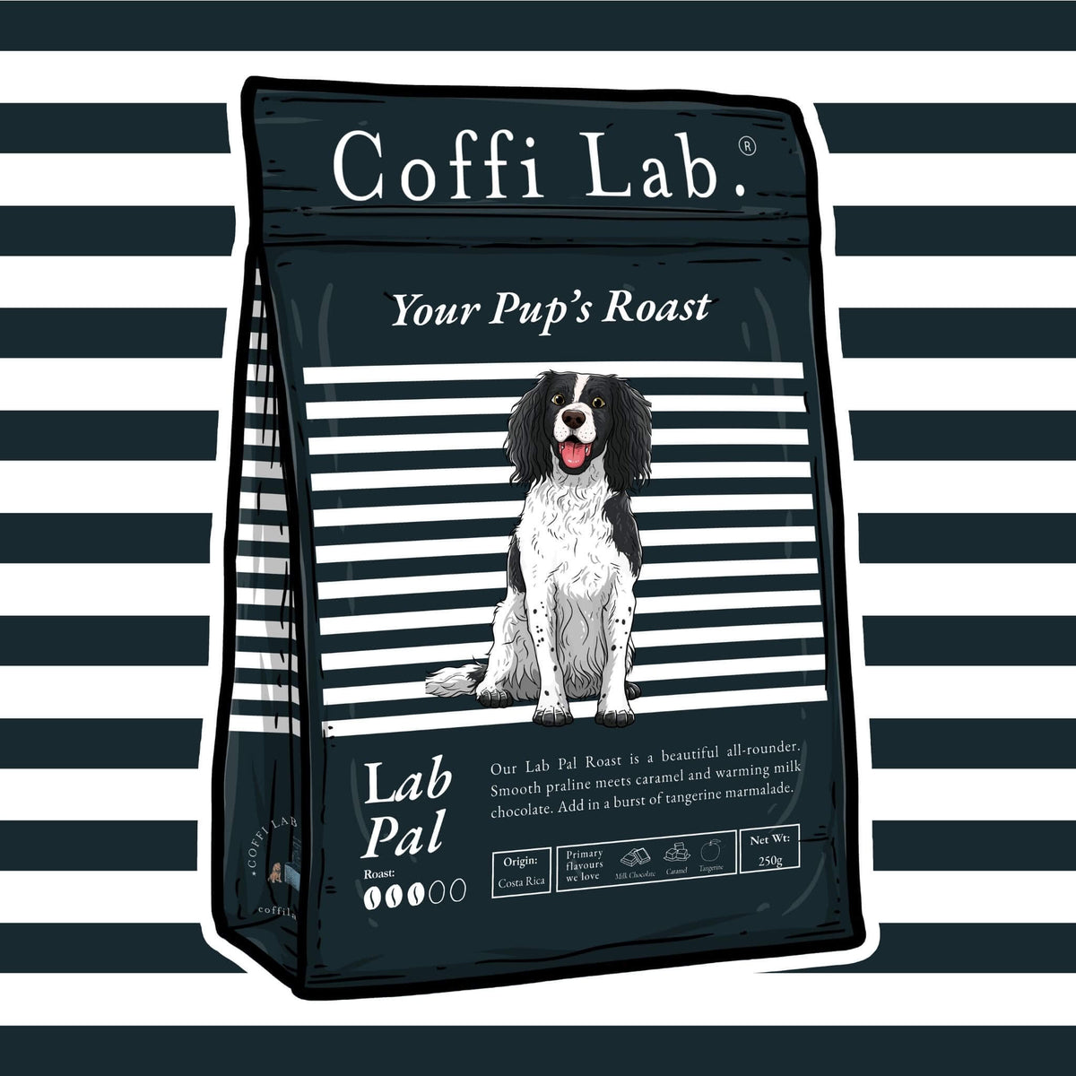 Lab Pal