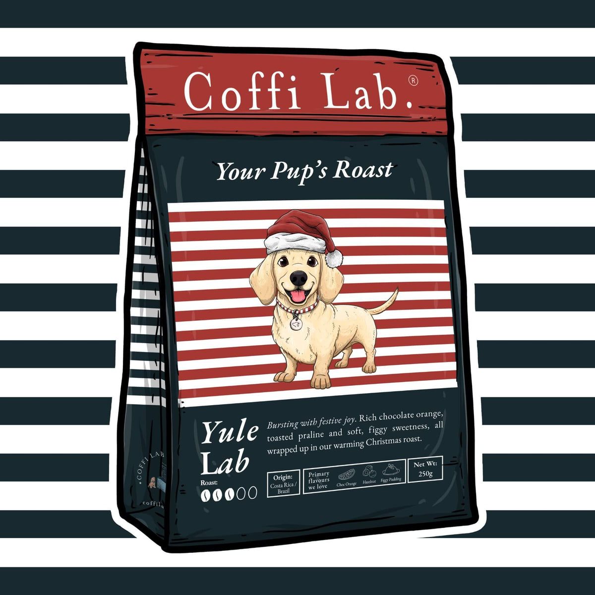Yule Lab