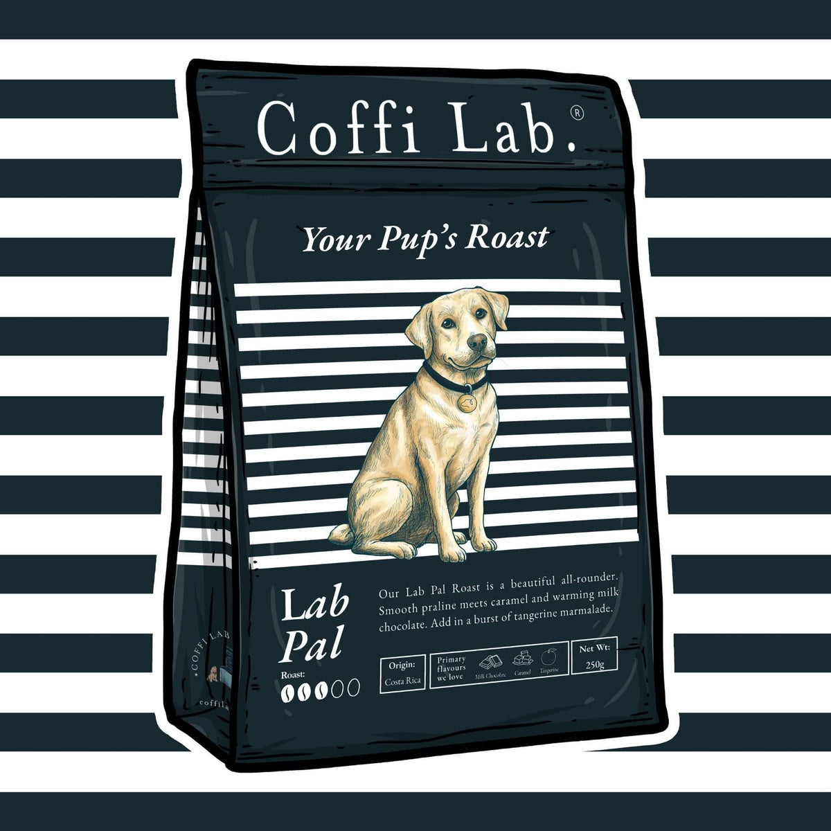 Lab Pal