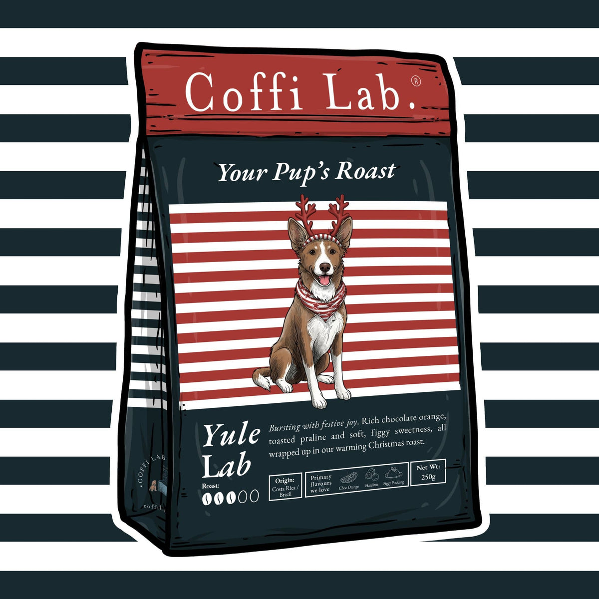 Yule Lab