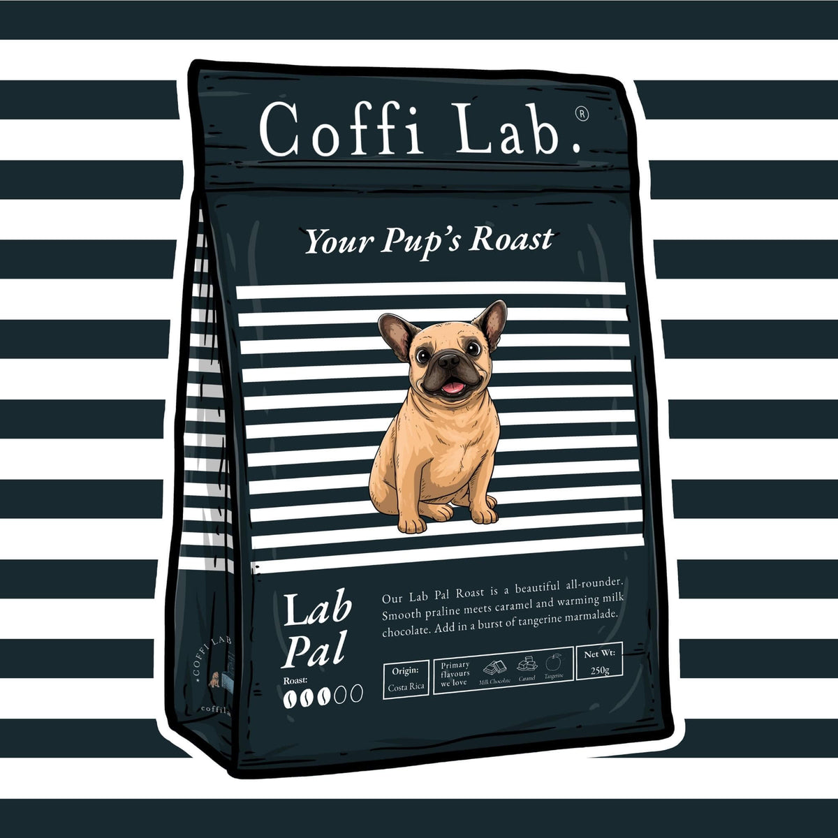 Lab Pal