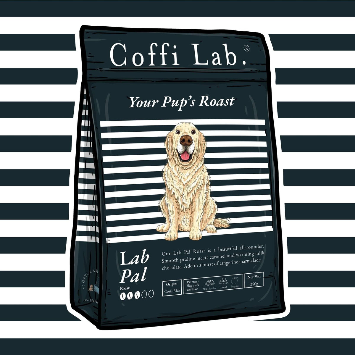 Lab Pal