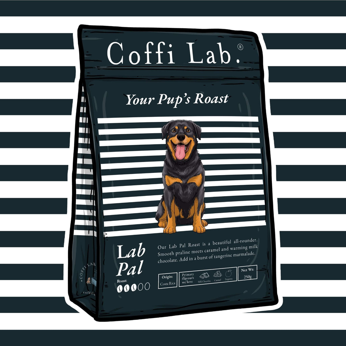 Lab Pal