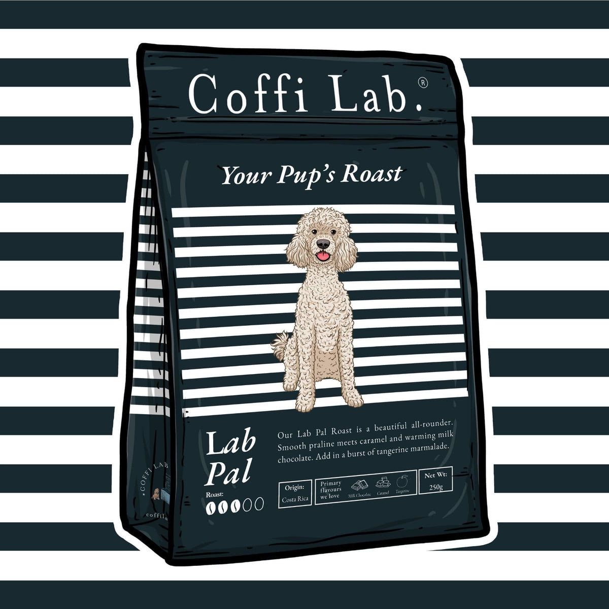 Lab Pal