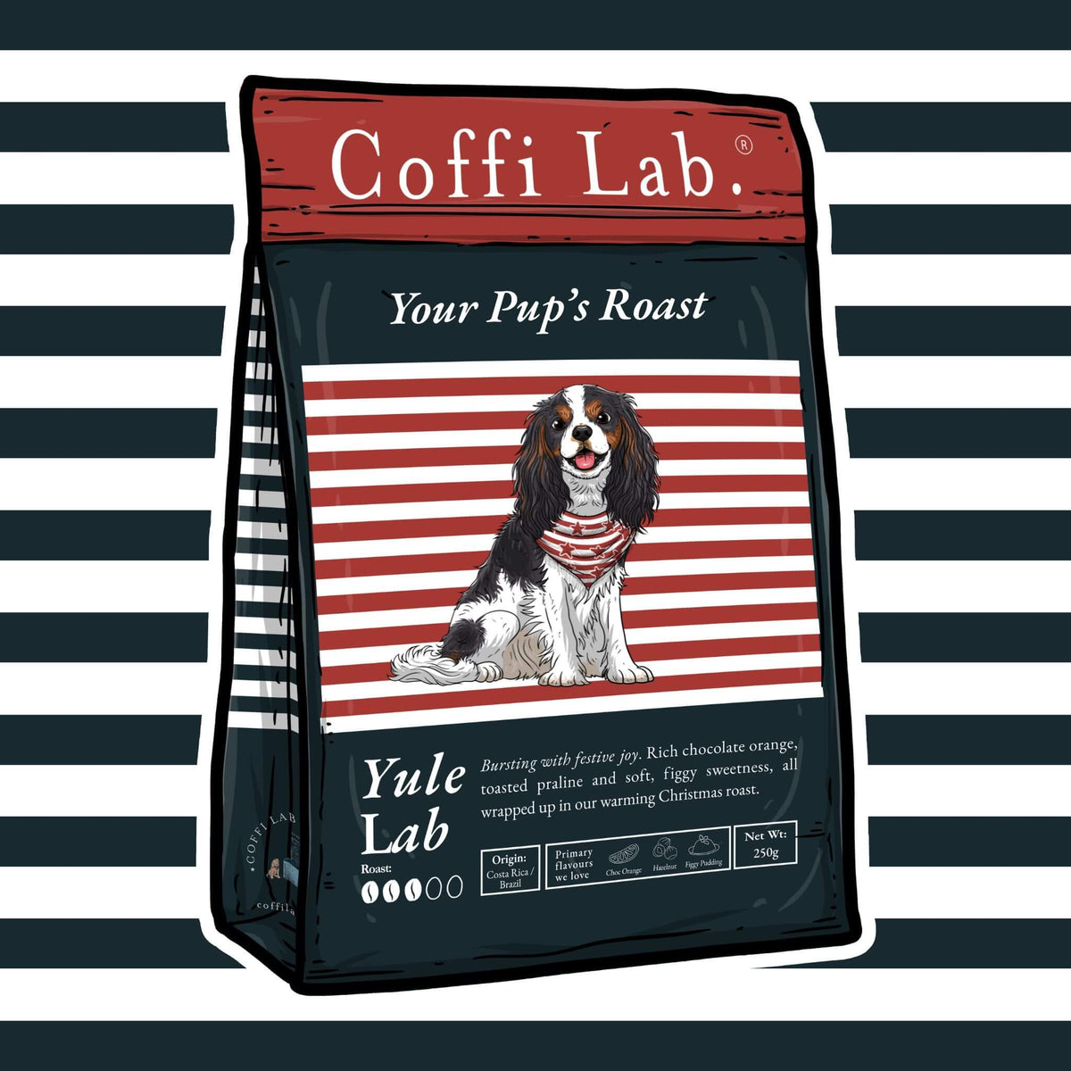 Yule Lab