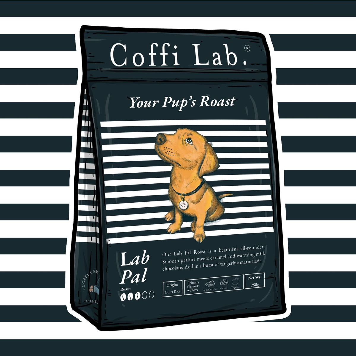 Lab Pal