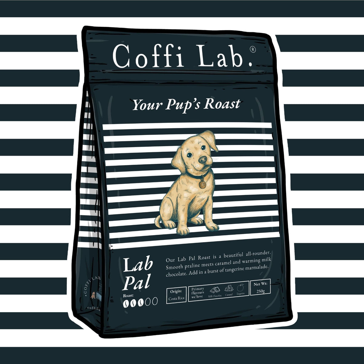 Lab Pal