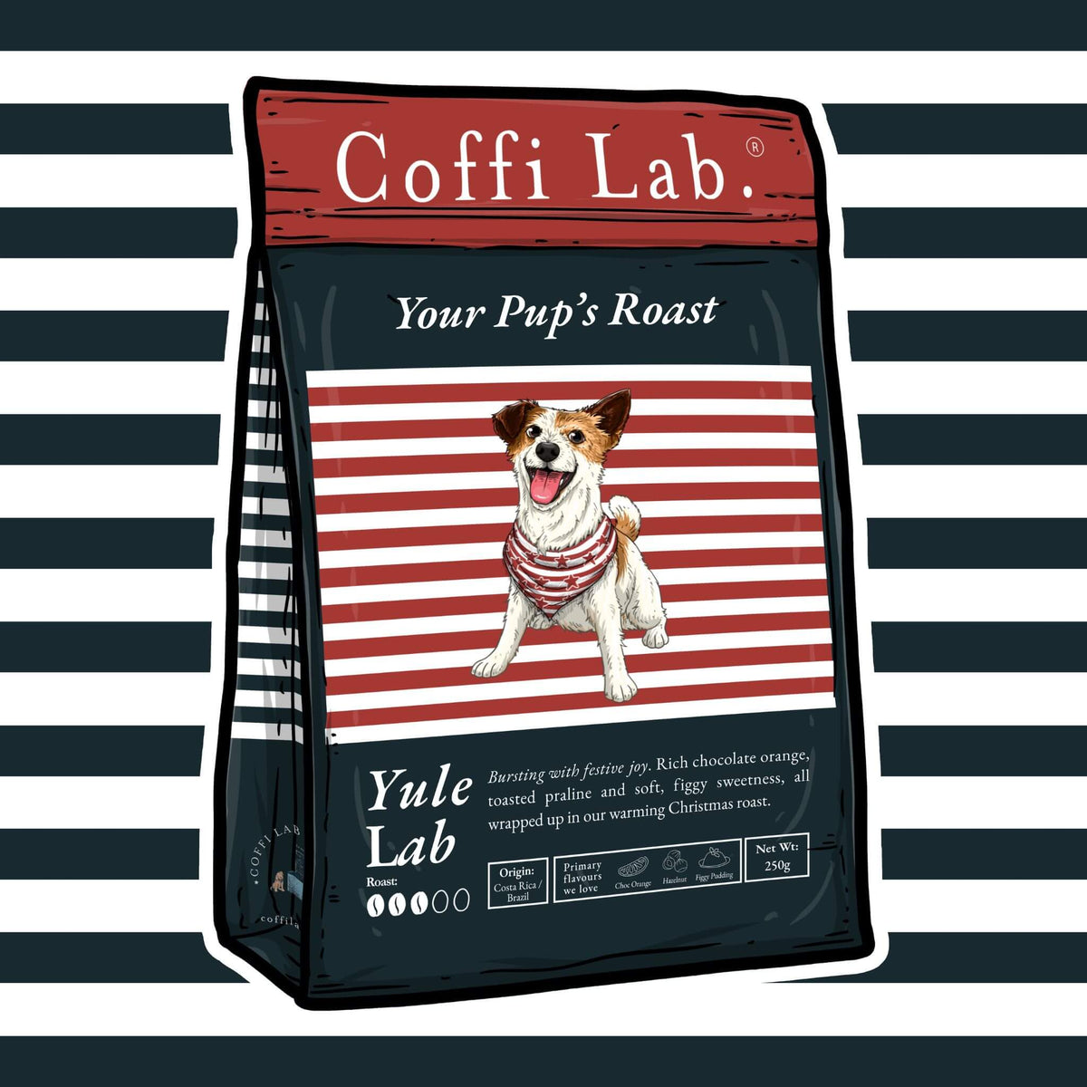 Yule Lab