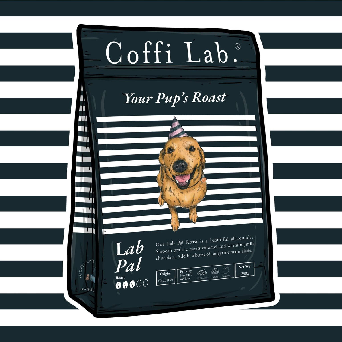 Lab Pal