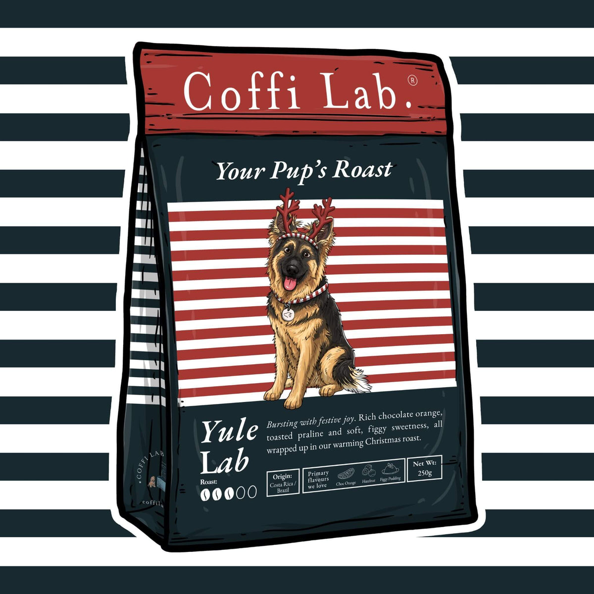 Yule Lab