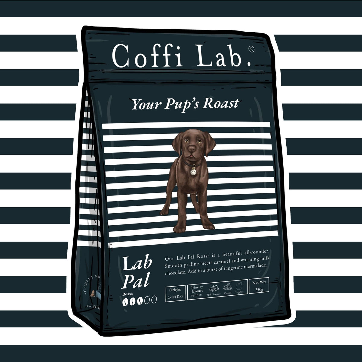 Lab Pal