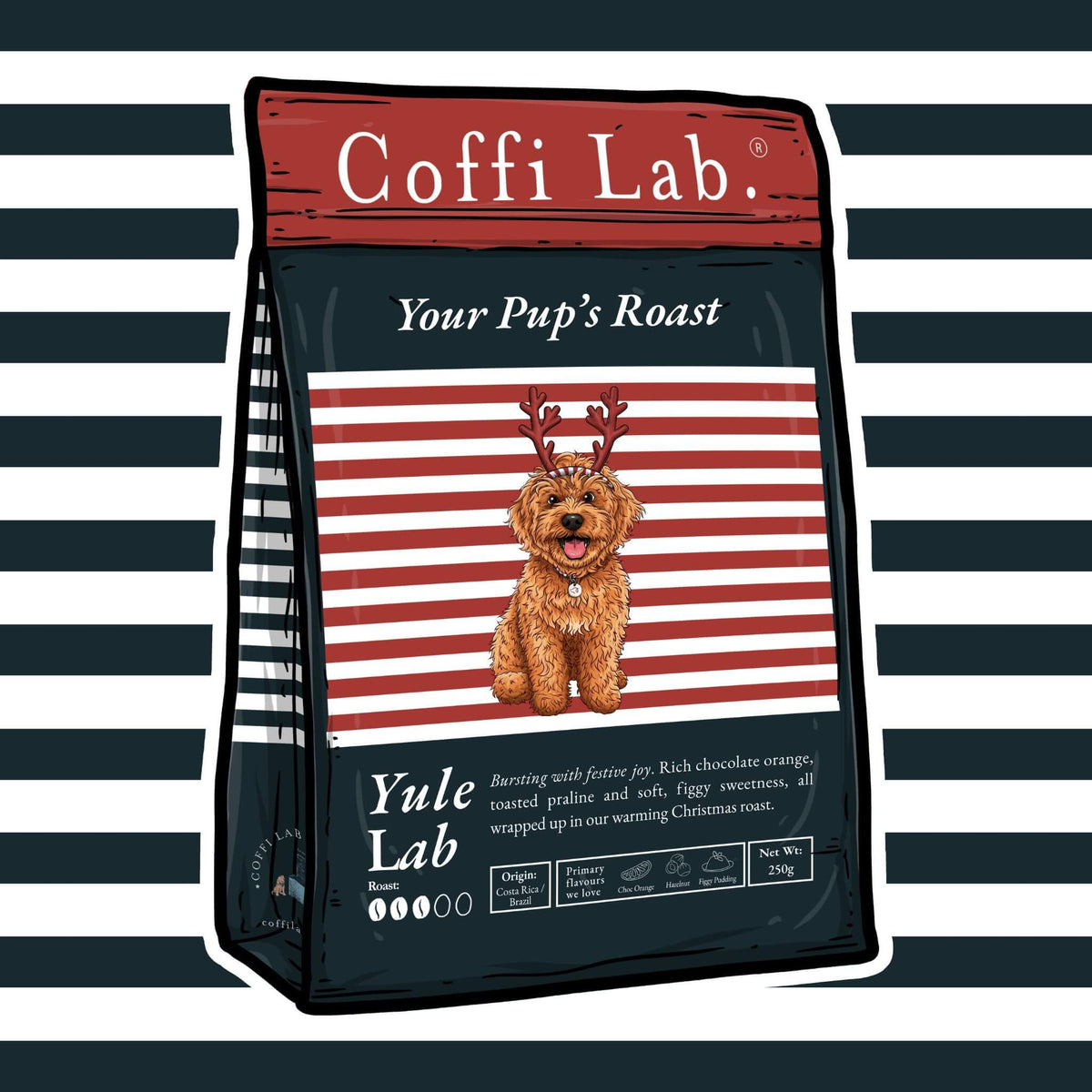 Yule Lab