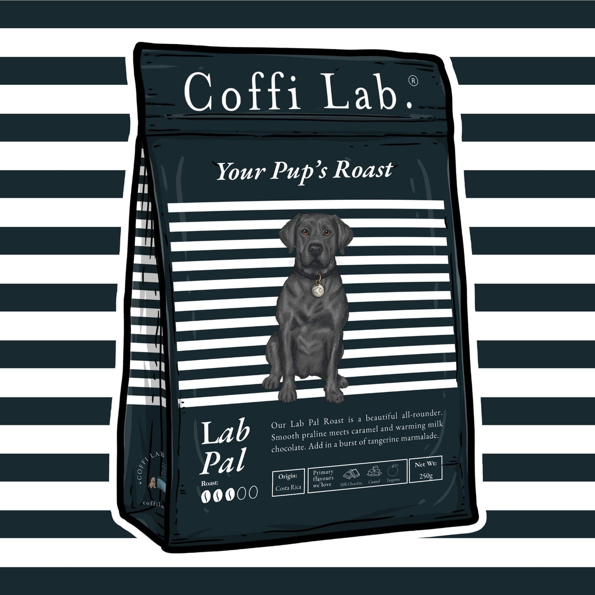 Lab Pal
