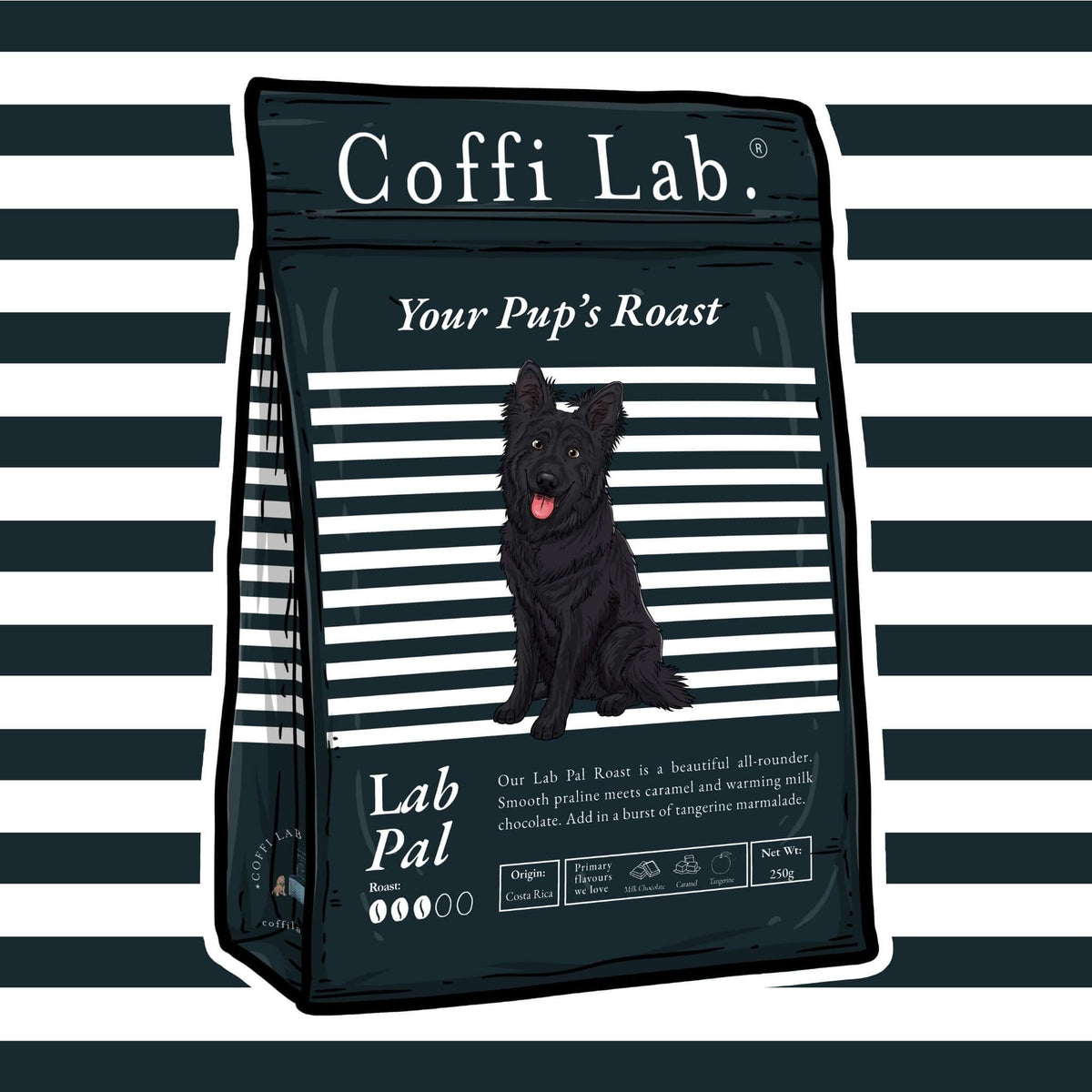 Lab Pal