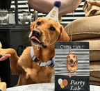 Party Lab