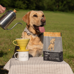 Yellow Lab